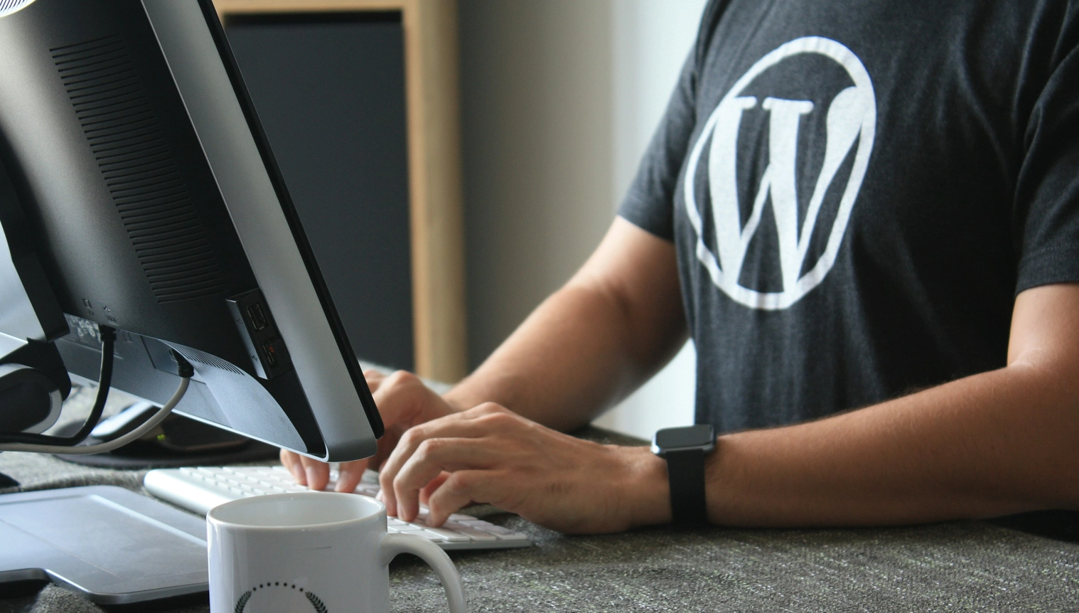 Wordpress-developmetn-service
